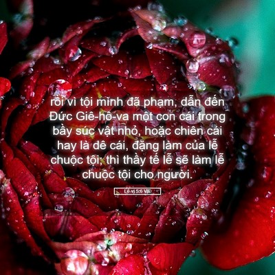 Picture 05 - Lê-vi 5:6 VIE - rồi vì tội mình đã phạm, dẫn đến - Bible Verse Picture