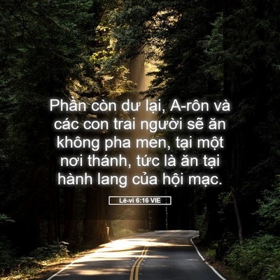 Picture 05 - Lê-vi 6:16 VIE - Phần còn dư lại, A-rôn và các con trai - Bible Verse Picture