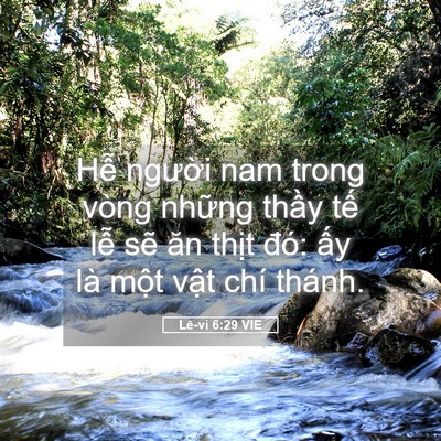 Picture 05 - Lê-vi 6:29 VIE - Hễ người nam trong vòng những thầy tế - Bible Verse Picture