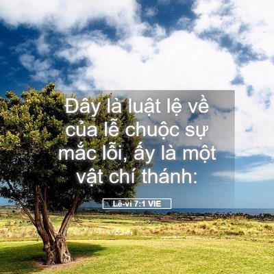Picture 05 - Lê-vi 7:1 VIE - Đây là luật lệ về của lễ chuộc - Bible Verse Picture