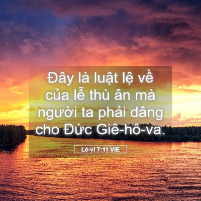 Picture 05 - Lê-vi 7:11 VIE - Đây là luật lệ về của lễ thù ân - Bible Verse Picture