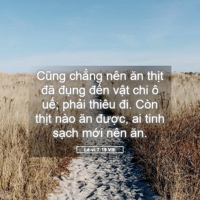 Picture 05 - Lê-vi 7:19 VIE - Cũng chẳng nên ăn thịt đã đụng đến - Bible Verse Picture
