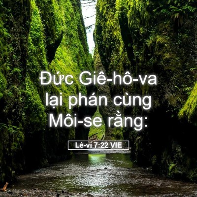Picture 05 - Lê-vi 7:22 VIE - Đức Giê-hô-va lại phán cùng Môi-se - Bible Verse Picture