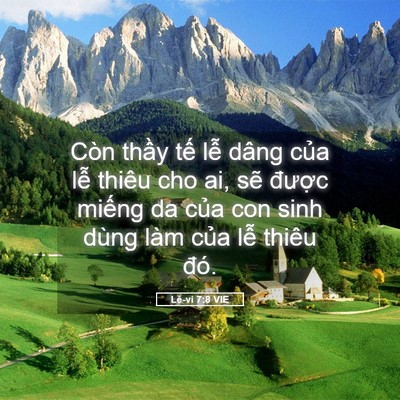Picture 05 - Lê-vi 7:8 VIE - Còn thầy tế lễ dâng của lễ thiêu cho - Bible Verse Picture