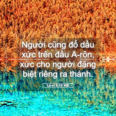 Picture 05 - Lê-vi 8:12 VIE - Người cũng đổ dầu xức trên đầu - Bible Verse Picture
