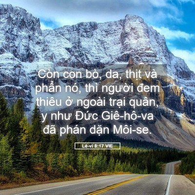 Picture 05 - Lê-vi 8:17 VIE - Còn con bò, da, thịt và phẩn nó, thì - Bible Verse Picture