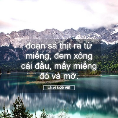 Picture 05 - Lê-vi 8:20 VIE - đoạn sả thịt ra từ miếng, đem xông - Bible Verse Picture