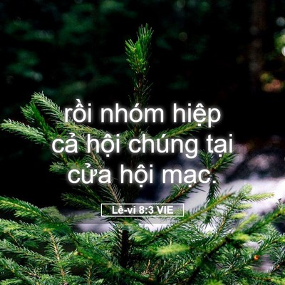 Picture 05 - Lê-vi 8:3 VIE - rồi nhóm hiệp cả hội chúng tại cửa - Bible Verse Picture