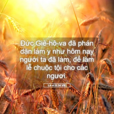 Picture 05 - Lê-vi 8:34 VIE - Đức Giê-hô-va đã phán dặn làm y như - Bible Verse Picture