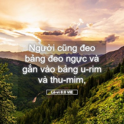 Picture 05 - Lê-vi 8:8 VIE - Người cũng đeo bảng đeo ngực và gắn - Bible Verse Picture