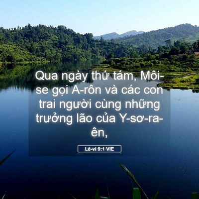 Picture 05 - Lê-vi 9:1 VIE - Qua ngày thứ tám, Môi-se gọi A-rôn và - Bible Verse Picture