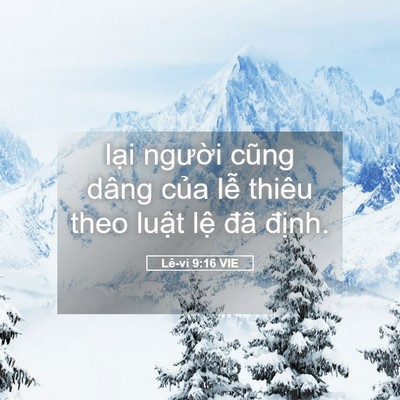 Picture 05 - Lê-vi 9:16 VIE - lại người cũng dâng của lễ thiêu theo - Bible Verse Picture