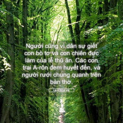 Picture 05 - Lê-vi 9:18 VIE - Người cũng vì dân sự giết con bò tơ - Bible Verse Picture