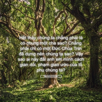 Picture 05 - Ma-la-ki 2:10 VIE - Hết thảy chúng ta chẳng phải là có - Bible Verse Picture