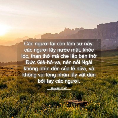 Picture 05 - Ma-la-ki 2:13 VIE - Các ngươi lại còn làm sự nầy: các - Bible Verse Picture