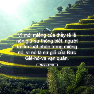 Picture 05 - Ma-la-ki 2:7 VIE - Vì môi miếng của thầy tế lễ nên - Bible Verse Picture
