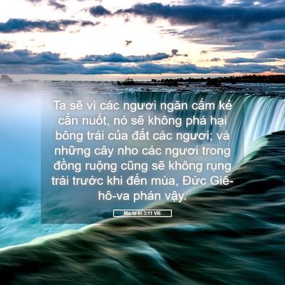 Picture 05 - Ma-la-ki 3:11 VIE - Ta sẽ vì các ngươi ngăn cấm kẻ cắn - Bible Verse Picture