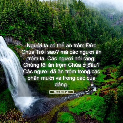 Picture 05 - Ma-la-ki 3:8 VIE - Người ta có thể ăn trộm Đức Chúa - Bible Verse Picture