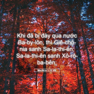 Picture 05 - Ma-thi-ơ 1:12 VIE - Khi đã bị đày qua nước Ba-by-lôn, thì - Bible Verse Picture