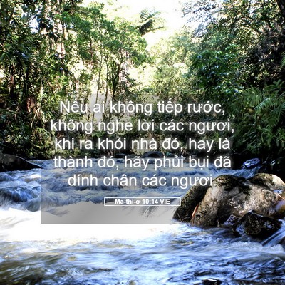 Picture 05 - Ma-thi-ơ 10:14 VIE - Nếu ai không tiếp rước, không nghe lời - Bible Verse Picture