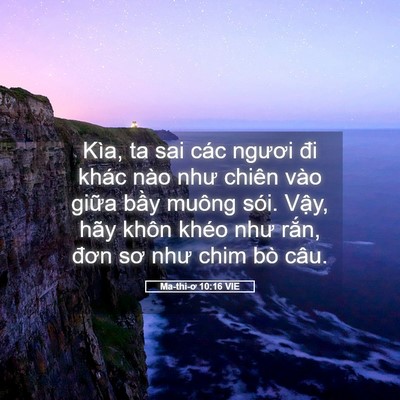 Picture 05 - Ma-thi-ơ 10:16 VIE - Kìa, ta sai các ngươi đi khác nào như - Bible Verse Picture