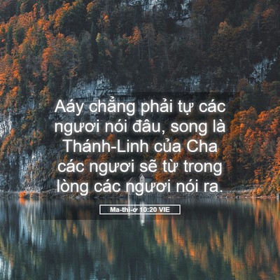 Picture 05 - Ma-thi-ơ 10:20 VIE - Aáy chẳng phải tự các ngươi nói đâu, - Bible Verse Picture
