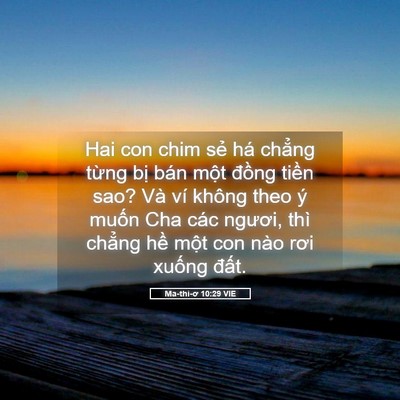 Picture 05 - Ma-thi-ơ 10:29 VIE - Hai con chim sẻ há chẳng từng bị bán - Bible Verse Picture