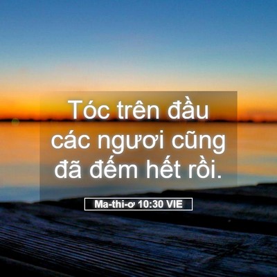 Picture 05 - Ma-thi-ơ 10:30 VIE - Tóc trên đầu các ngươi cũng đã đếm - Bible Verse Picture