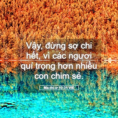 Picture 05 - Ma-thi-ơ 10:31 VIE - Vậy, đừng sợ chi hết, vì các ngươi - Bible Verse Picture