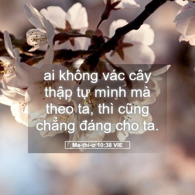 Picture 05 - Ma-thi-ơ 10:38 VIE - ai không vác cây thập tự mình mà theo - Bible Verse Picture