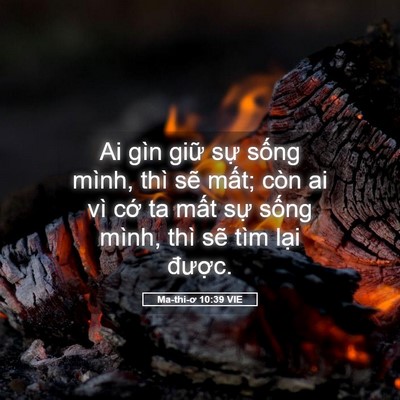Picture 05 - Ma-thi-ơ 10:39 VIE - Ai gìn giữ sự sống mình, thì sẽ mất; - Bible Verse Picture