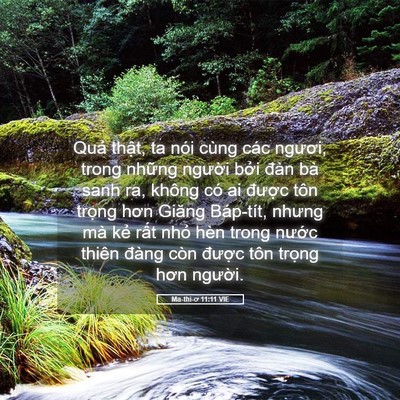 Picture 05 - Ma-thi-ơ 11:11 VIE - Quả thật, ta nói cùng các ngươi, trong - Bible Verse Picture