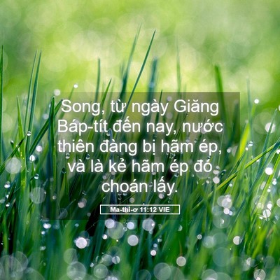 Picture 05 - Ma-thi-ơ 11:12 VIE - Song, từ ngày Giăng Báp-tít đến nay, - Bible Verse Picture