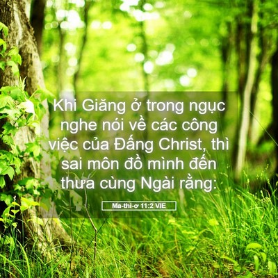 Picture 05 - Ma-thi-ơ 11:2 VIE - Khi Giăng ở trong ngục nghe nói về các - Bible Verse Picture