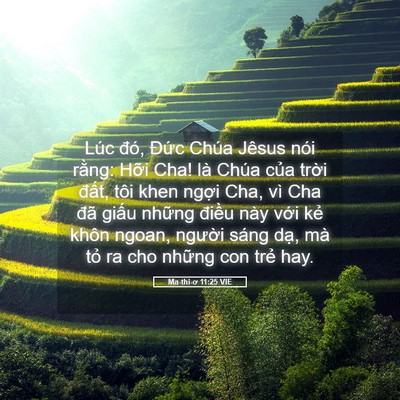 Picture 05 - Ma-thi-ơ 11:25 VIE - Lúc đó, Đức Chúa Jêsus nói rằng: Hỡi - Bible Verse Picture