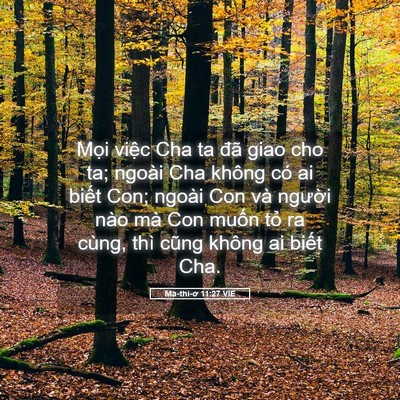 Picture 05 - Ma-thi-ơ 11:27 VIE - Mọi việc Cha ta đã giao cho ta; ngoài Cha - Bible Verse Picture