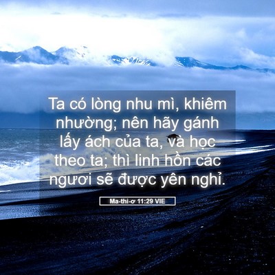 Picture 05 - Ma-thi-ơ 11:29 VIE - Ta có lòng nhu mì, khiêm nhường; nên hãy - Bible Verse Picture