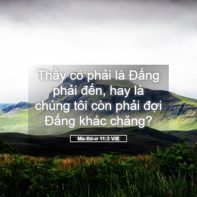 Picture 05 - Ma-thi-ơ 11:3 VIE - Thầy có phải là Đấng phải đến, hay - Bible Verse Picture