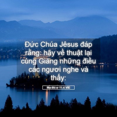 Picture 05 - Ma-thi-ơ 11:4 VIE - Đức Chúa Jêsus đáp rằng: hãy về - Bible Verse Picture