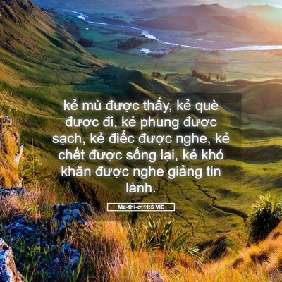 Picture 05 - Ma-thi-ơ 11:5 VIE - kẻ mù được thấy, kẻ què được đi, - Bible Verse Picture