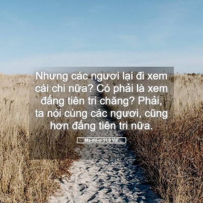 Picture 05 - Ma-thi-ơ 11:9 VIE - Nhưng các ngươi lại đi xem cái chi nữa? - Bible Verse Picture