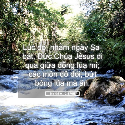 Picture 05 - Ma-thi-ơ 12:1 VIE - Lúc đó, nhằm ngày Sa-bát, Đức Chúa - Bible Verse Picture