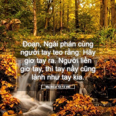 Picture 05 - Ma-thi-ơ 12:13 VIE - Đoạn, Ngài phán cùng người tay teo - Bible Verse Picture