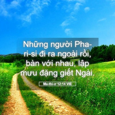 Picture 05 - Ma-thi-ơ 12:14 VIE - Những người Pha-ri-si đi ra ngoài rồi, - Bible Verse Picture