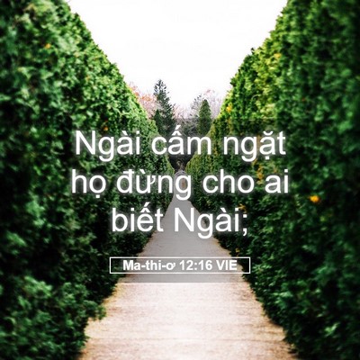 Picture 05 - Ma-thi-ơ 12:16 VIE - Ngài cấm ngặt họ đừng cho ai biết - Bible Verse Picture