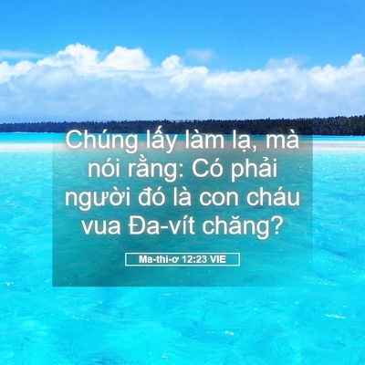 Picture 05 - Ma-thi-ơ 12:23 VIE - Chúng lấy làm lạ, mà nói rằng: Có - Bible Verse Picture