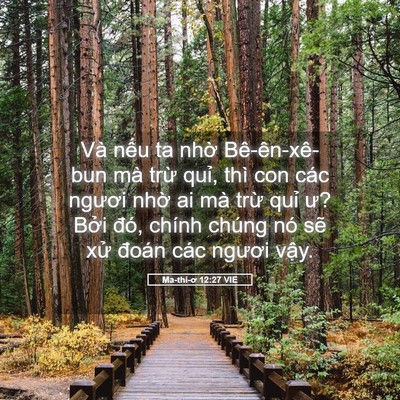 Picture 05 - Ma-thi-ơ 12:27 VIE - Và nếu ta nhờ Bê-ên-xê-bun mà trừ - Bible Verse Picture
