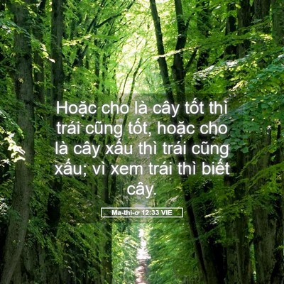 Picture 05 - Ma-thi-ơ 12:33 VIE - Hoặc cho là cây tốt thì trái cũng tốt, - Bible Verse Picture