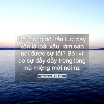 Picture 05 - Ma-thi-ơ 12:34 VIE - Hỡi dòng dõi rắn lục; bay vốn là loài - Bible Verse Picture