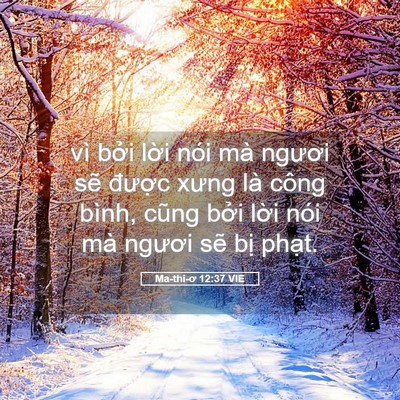 Picture 05 - Ma-thi-ơ 12:37 VIE - vì bởi lời nói mà ngươi sẽ được - Bible Verse Picture